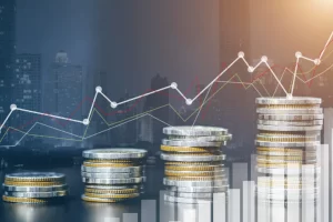 Demografik Yatırım Ne Demek?