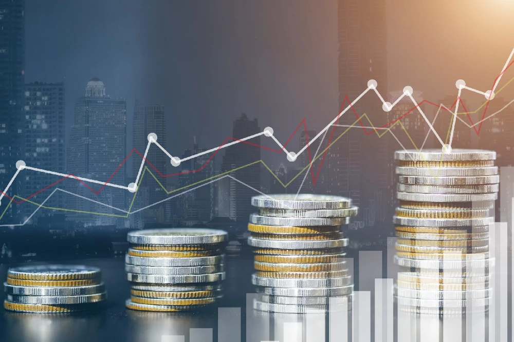 Demografik Yatırım Ne Demek?