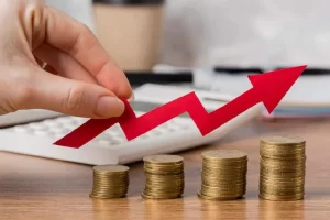 Küçük Yatırımcılar