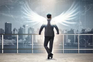 Melek Yatırımcı Nedir?