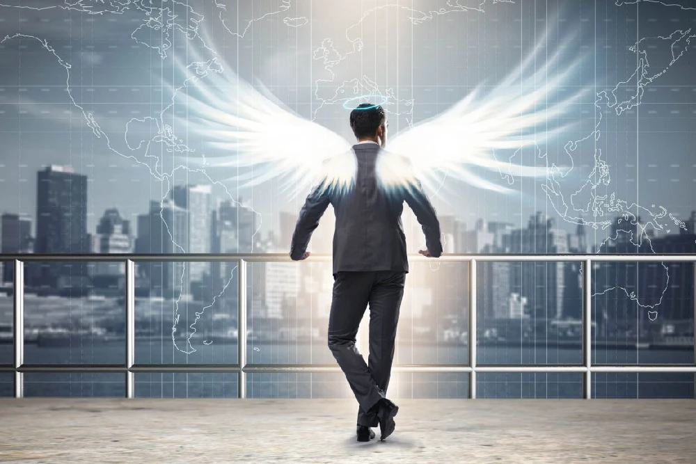 Melek Yatırımcı Nedir?