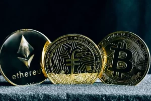 Kripto Paralarda Validator Nedir?